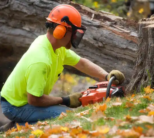 tree services Senatobia